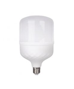 Powerlight Led T-Bulb Cool White 30 W