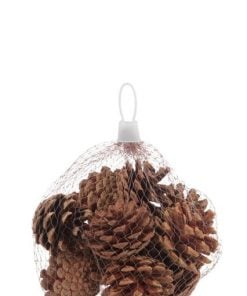 Bag 12 Pinecones Natural