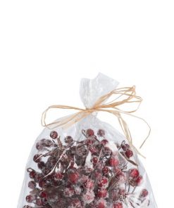 Bag Berries Snowy Red