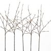 Led 5 Branch