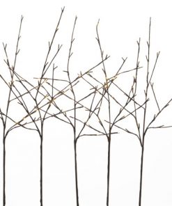 Led 5 Branch