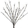 Led Branch Lights Brown