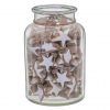 Wood Star Into Jar White
