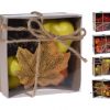 Decoration Material Autumn Set Decoration Material Autumn Set