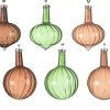 Ornament Glass Ornament Glass