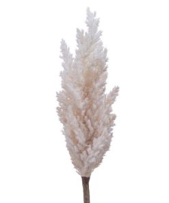 Pampas Grass Plastic