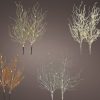 Micro Led Branch Bo Indoor Micro Led Branch Bo Indoor