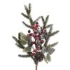 Branch/Berries Branch/Berries