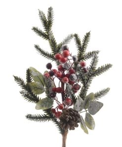 Branch/Berries