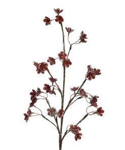 Branch/Berries