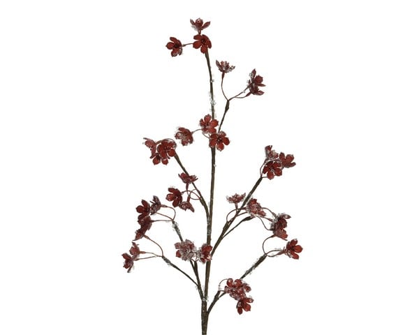Branch/Berries Branch/Berries