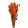 Bundle Dried Flower Orange Bundle Dried Flower Orange
