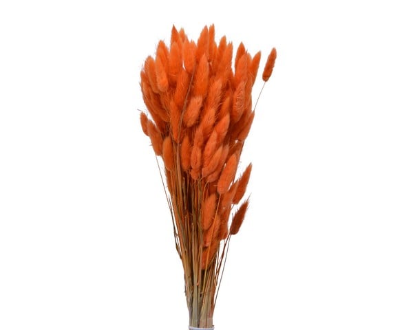 Bundle Dried Flower Orange Bundle Dried Flower Orange