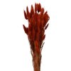 Bundle Dried Flower Red Bundle Dried Flower Red