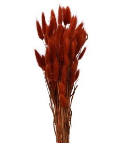 Bundle Dried Flower Red