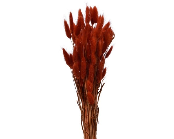 Bundle Dried Flower Red Bundle Dried Flower Red