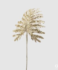 Leaf Monstera Paill.H62