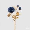 Rosa Ramox3 Stem-Goldh48