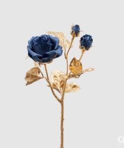 Rosa Ramox3 Stem-Goldh48
