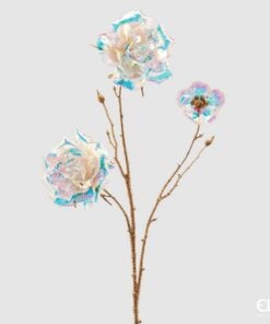 Rosa Rex Reflex X3 H70
