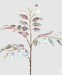 Irid Eucalyptus. Rex Ramo H85