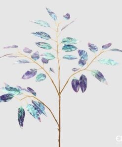 Irid Eucalyptus. Rex Ramo H85