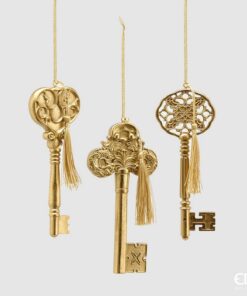 Poly Key Dec(3Ass)H19C1