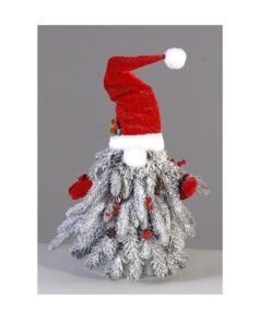 2/12-55Cm Red Hat Gnome
