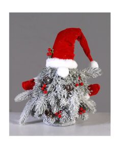 4/32-35Cm Red Hat Gnome