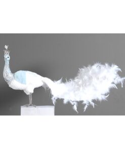70Cm Blue Peacock