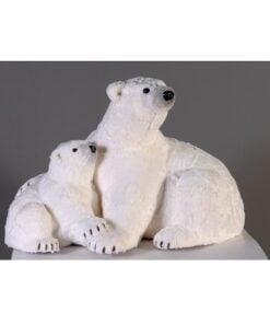 62Cm Bear
