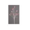 76 Branch W/Candies Red&White