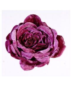 13Cm Fuchsia Rose Flower W/Cli