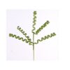 40 Glitter Green Spring Branch
