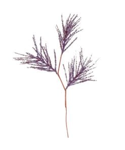 55Cm Purple Branch