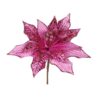 Fuchsia Poinsettia