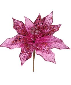Fuchsia Poinsettia