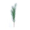 80Cm Green Pampas Branch