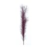 100Cm Burgundy Pampas Branch