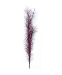 100Cm Burgundy Pampas Branch
