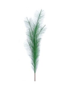 100Cm Green Pampas Branch
