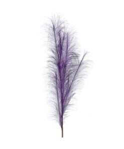 100Cm Purple Pampas Branch