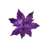 12/72-Purple Poinsettia