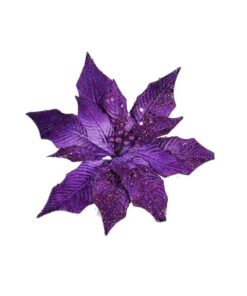 12/72-Purple Poinsettia