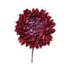 Chrysanthemum On Stem Polyes
