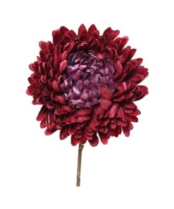 Chrysanthemum On Stem Polyes