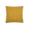 Adrien Coussin 40 X 40