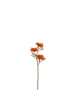 Flower Daisy Plastic Orange