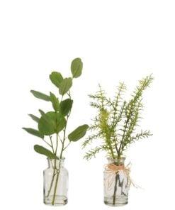 Eucalyptus Branches In Glass Vase 2 Assorted