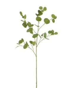 Eucalyptus Branch Plastic